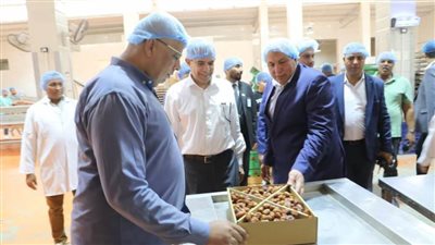 لتطوير المنشآت الصناعية.. محافظ الوادي الجديد ومدير 