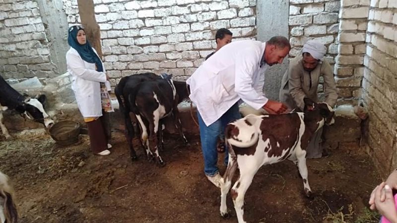 تحصين الثروة الحيوانية