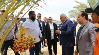 محافظ الوادي الجديد يتفقد 