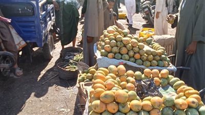 محافظ أسيوط: إزالة إشغالات وتعديات الباعة الجائلين على حرم الطرق بمركز أبو تيج