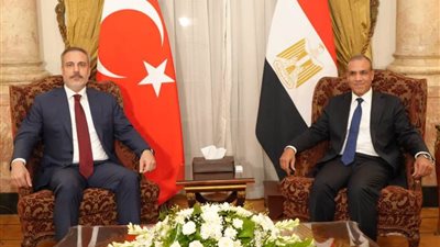 وزير الخارجية: مصر ترفض وتدين الاغتيالات السياسية بشكل كامل