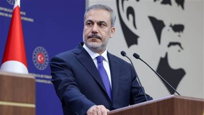 وزير الخارجية التركي: مصر شريك آمن على المدى البعيد