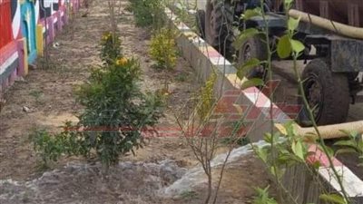 كفر الشيخ.. زراعة 329 ألف شجرة ضمن المبادرة الرئاسية «100 مليون شجرة» 