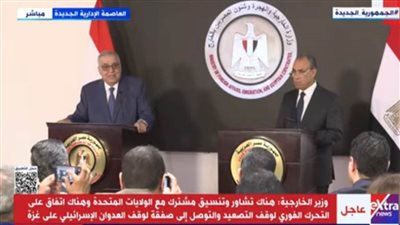 وزير الخارجية: مصر تؤكد مجددا موقفها الداعم لسيادة لبنان ووحدة وسلامة أراضيه وسلامة شعبه الشقيق