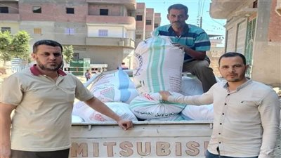 ضبط سيارة محملة بطن دقيق مدعم محظور تداوله قبل بيعها بالسوق السوداء 