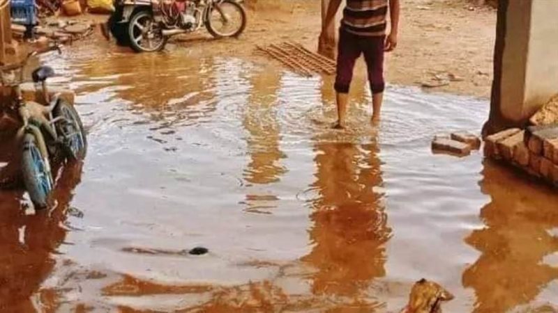 سيول بدرب الاربعين