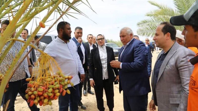 جانب من جولة محافظ