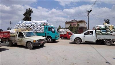 صوامع وشون الشرقية تستقبل 619508 أطنان من الإقماح المحلية 