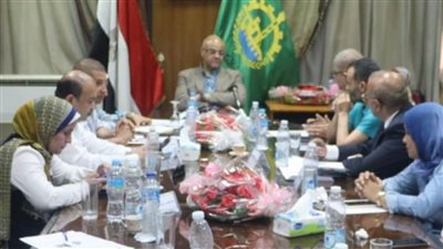 لأول مرة بالقليوبية.. مصاعد كهربائية بكبارى المشاة في شبرا الخيمة