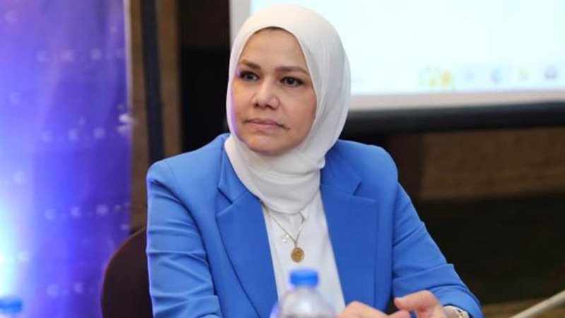 رئيس مصلحة الضرائب