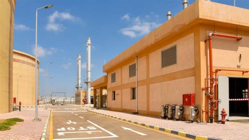 محافظ الإسكندرية