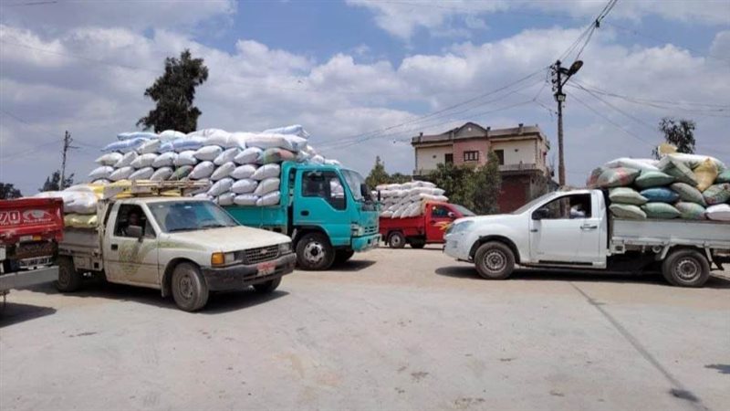 توريد القمح