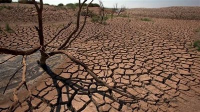 الجفاف يضرب رئة العالم 