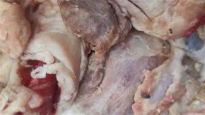 بيطري الشرقية يضبط طن دواجن ولحوم مصنعة خلال حملات تفتيشية 