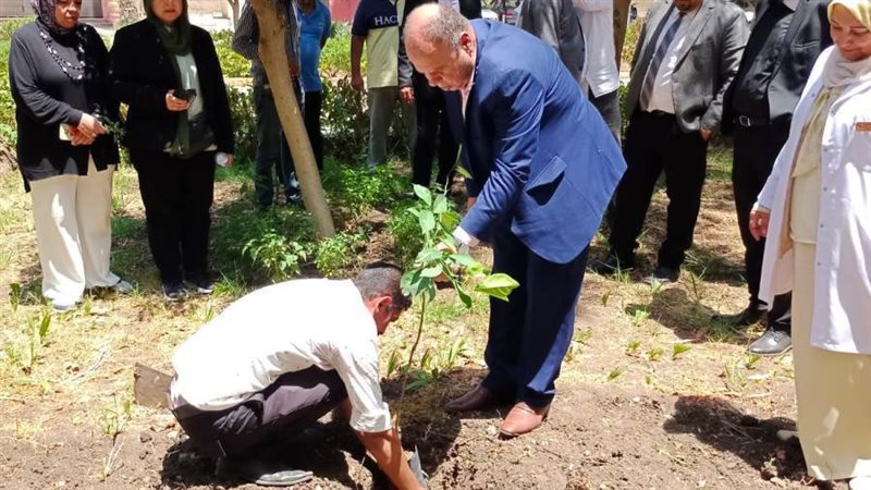 جانب من زراعة الأشجار