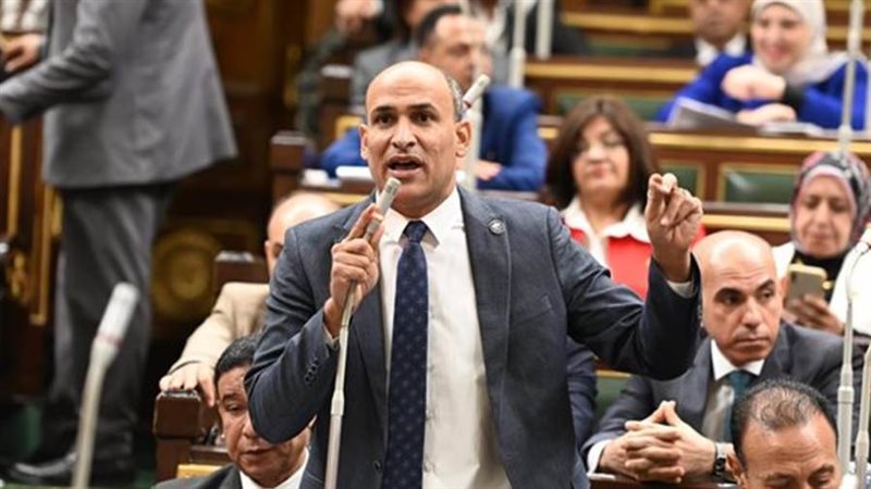 النائب حسام أبو زيد