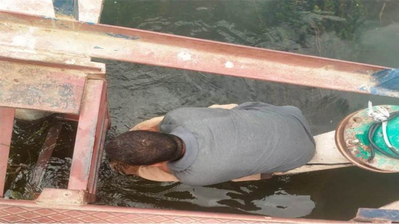 بوابة روز اليوسف