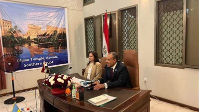 وزير الخارجية: الدولة تولي أقصى درجات الاهتمام والعناية بالجاليات المصرية في مختلف دول العالم