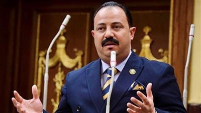 برلماني: منع غلق أى مصنع إلا بقرار من وزير الصناعة قرار غير مسبوق ويشجع المستثمرين 