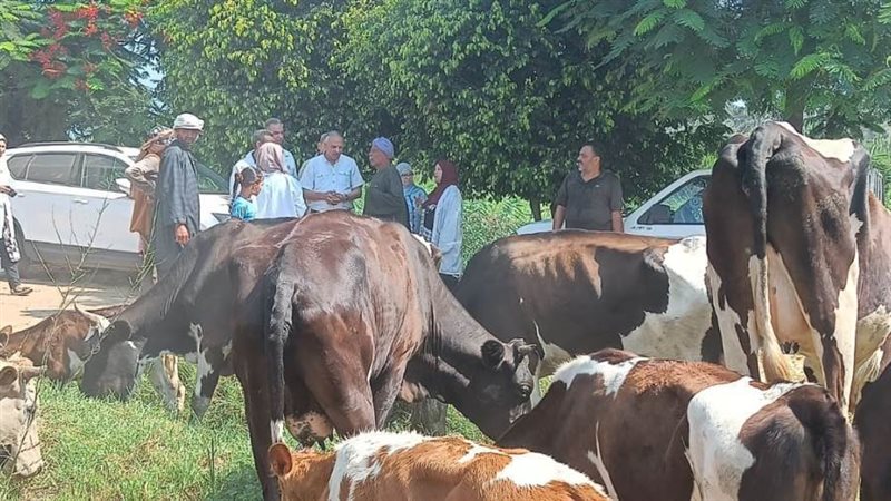 جانب من فعاليات القافلة