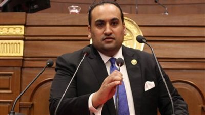 الرشيدي: الرئيس السيسي حريص على تحويل مصر إلى مركز صناعي دولي