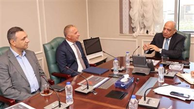 وزير الكهرباء يبحث «السويدي» التعاون في مجالات خفض الفاقد وتوزيع الكهرباء