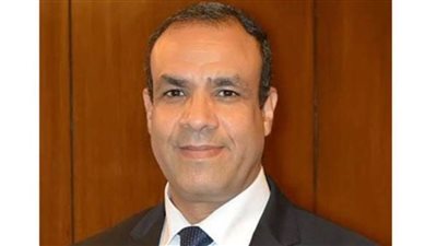 وزير الخارجية يوجه بالتركيز على دعم جهود مصر لزيادة مكون الطاقة الجديدة والمتجددة والتحول لمركز إقليمي