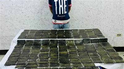 ضبط عنصر إجرامي بالغربية بمخدر الحشيش تقدر قيمته بـ 2 مليون جنيه