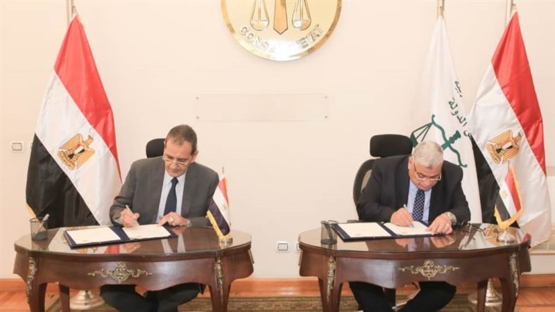 مجلس الدولة