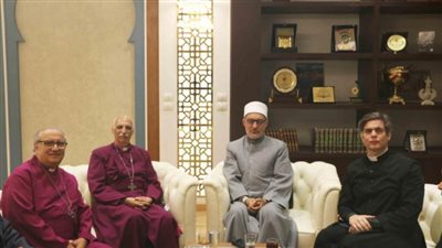 مفتي الجمهورية: النموذج المصري في العيش المشترك صورة مشرقة للمواطنة الكاملة