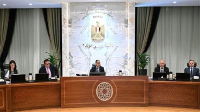 مجلس الوزراء يوافق على قرار بإنشاء وتشكيل المجلس الوطني لتوطين تكنولوجيا تصنيع الرقائق الإلكترونية والخلايا الشمسية