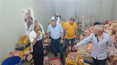  ضربة للغشاشين.. ضبط 10 أطنان دواجن فاسدة داخل مجزر غير مرخص بالغربية (صور)