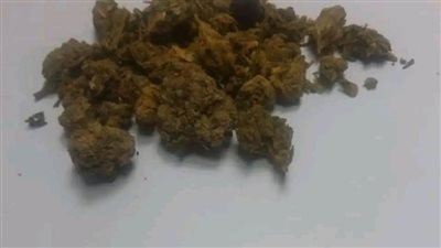 جمارك مطار الغردقة الدولي تضبط كمية من الماريجوانا المخدر |صور