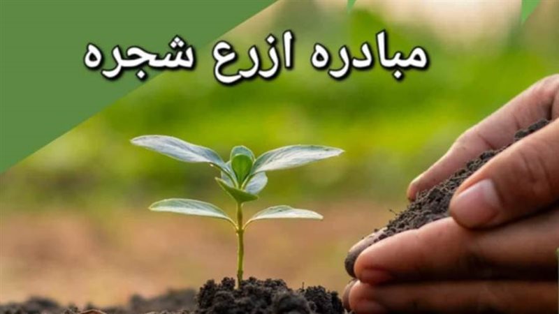 مبادة أزرع شجرة