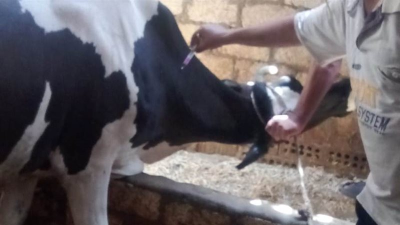 جانب من فعاليات الحملة