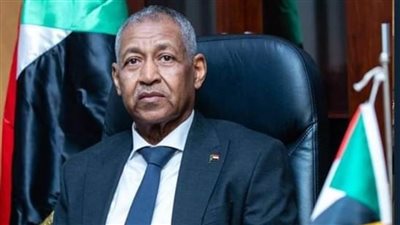 نائب سفير السودان: الرئيس السيسي أولى رعاية واهتماماً كبيراً للسودانيين في مصر