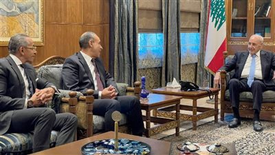 وزير الخارجية: مستهدفات استراتيجية حقوق الإنسان تتحقق بدعم الرئيس السيسي وتكامل من الجهات الوطنية