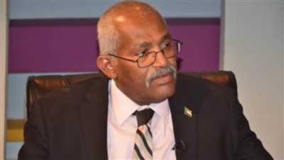 وفاة وزير التعليم السوداني خلال وجوده بالقاهرة