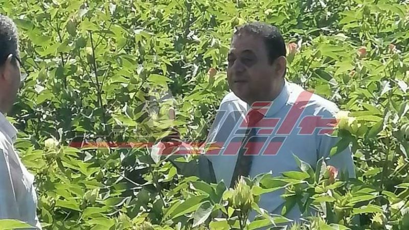 المهندس محمد ب كات