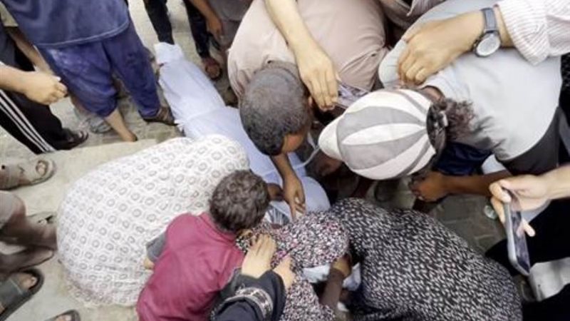 بوابة روز اليوسف