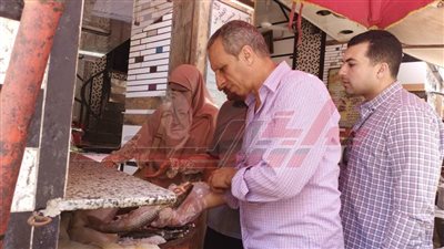 ضبط 604.5 كجم أسماك ولحوم غير صالحة للاستهلاك الآدمي بكفر الشيخ