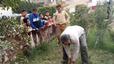 زراعة 400 ألف شجرة بالمرحلتين الأولى والثانية بمحافظة البحيرة