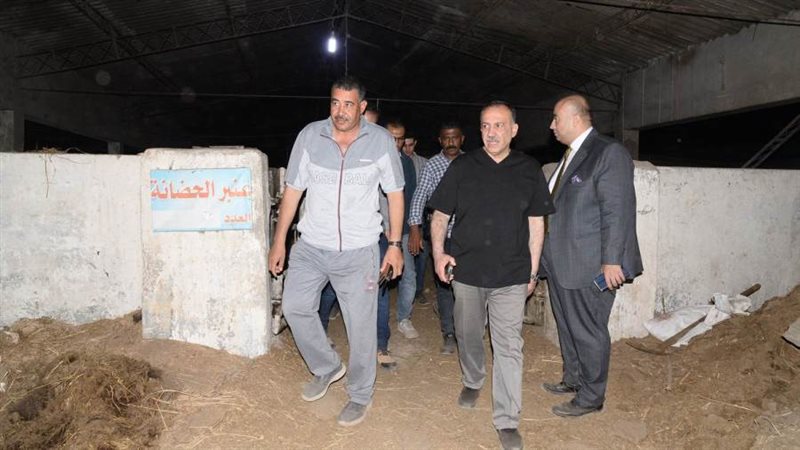 محافظ أسيوط يتفقد