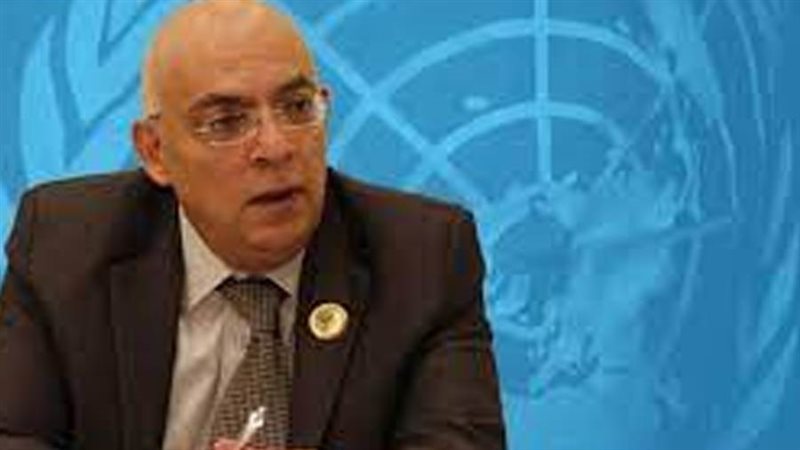 رئيس البعثة الأممية