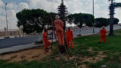 محافظ الإسماعيلية يتابع مجهودات جهاز التطوير والتجميل في صيانة وتهذيب المسطحات الخضراء بمدينة الإسماعيلية 