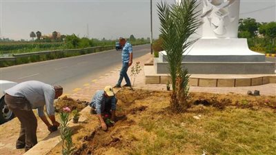 زراعة 500 شجرة بمركز مطاي ضمن مبادرة «100 مليون شجرة»