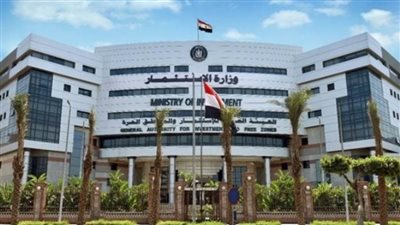 رجال الأعمال المصريين الأفارقة