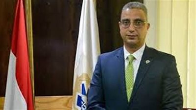 محافظ الفيوم:مشروعات 