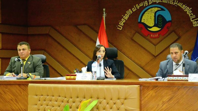 منصة المجلس التنفيذي