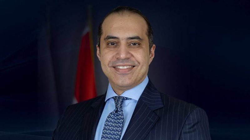 المستشار محمود فوزيوزير